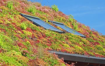 Brabourne living roof systems